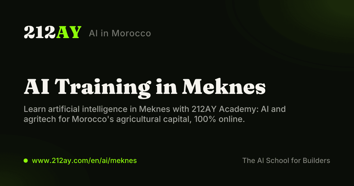 AI Training in Meknes